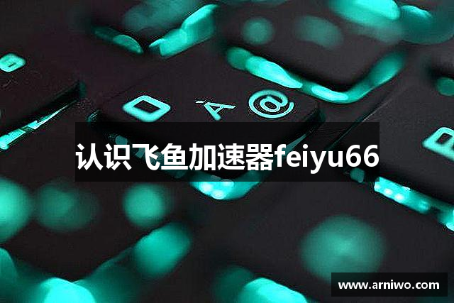 认识飞鱼加速器feiyu66